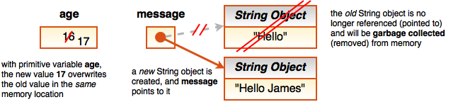 2-4-Strings2